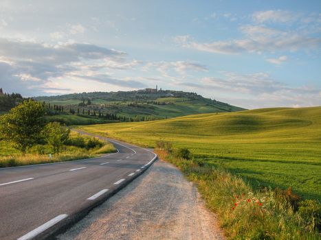 Detail of Tuscan Countryside, Italy