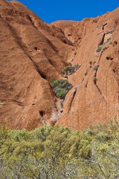 Detail of the Ayers Rock National Park, Northern Territory, Australia, August 2009