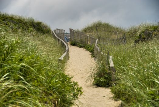 Detail of Nantucket, Massachusetts, August 2008