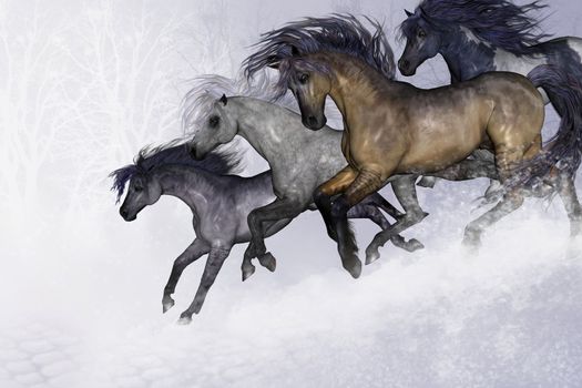Four beautiful wild horses run down a slope in this wintry scene.