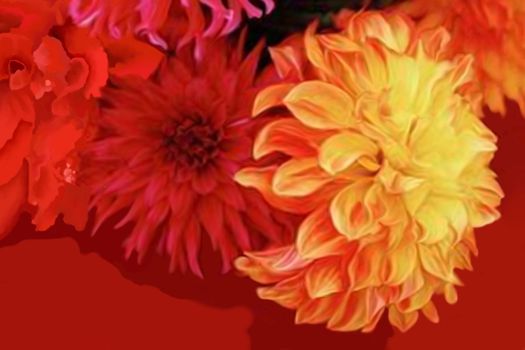 Abstract bouquet of dahlia flowers.