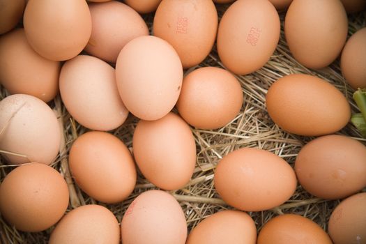 Fresh eggs arranged in a straw barn setting.