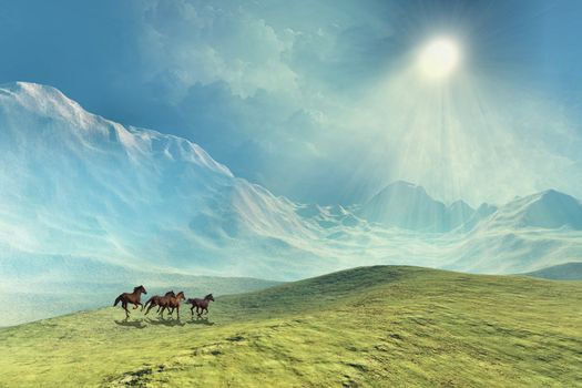 A herd of wild horses run under beautiful skies.