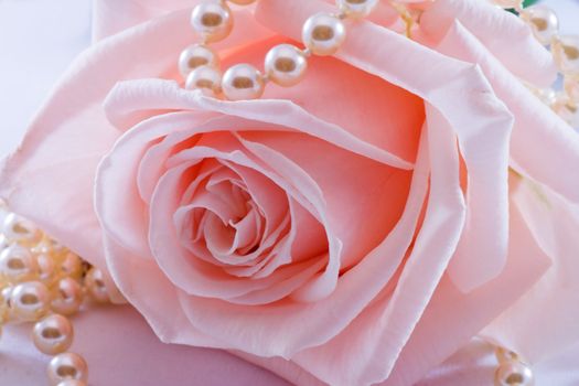 Soft pink rose with a pearl necklace