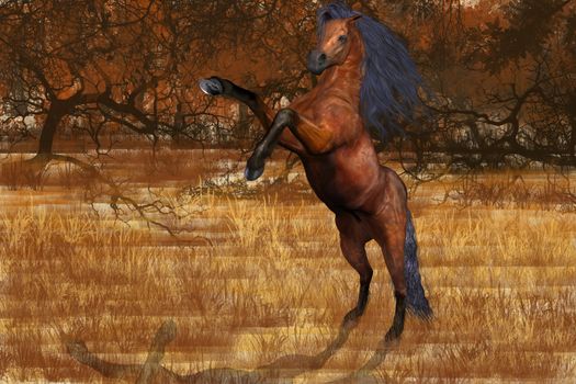 An beautiful Arabian stallion rears up feeling frisky in the colors of autumn.