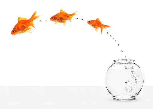 three goldfishes escaping from fishbowl isolated on white background
