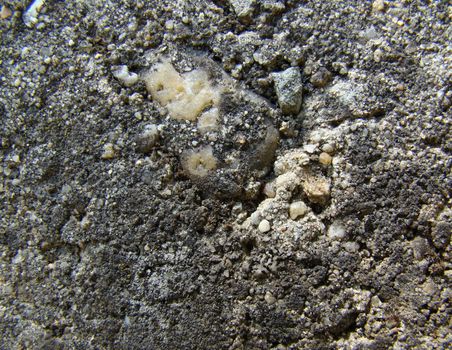 Detail of old concrete abstract background structure