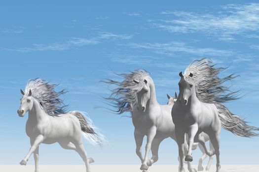 A herd of Andalusian white horses gallop together on the white sands of a desert.