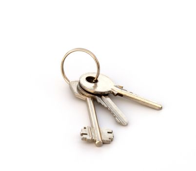 Copula of the keys on a white background.