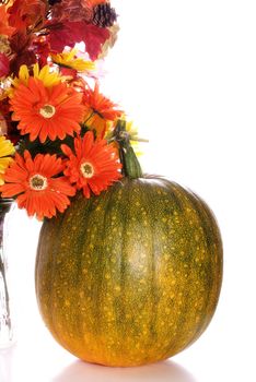 A ripening pumpkin sitting next to some artificial daisies, isolated against a white background
