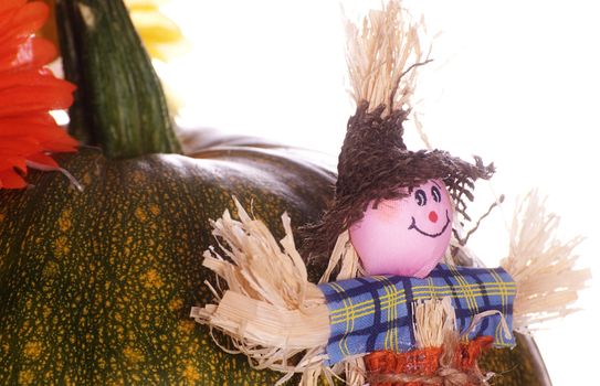 A small scarecrow leaning against a ripening pumpkin, isolated against a white background