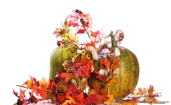 Two ripening pumpkins along with some artificial fall foliage, isolated against a white background