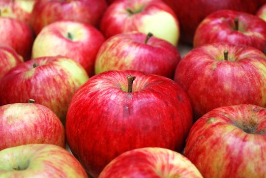 Red Apples Stacked in Rows