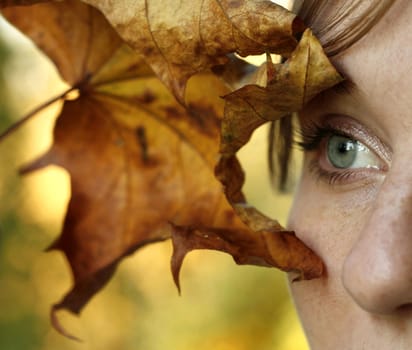 The close-up portrait of young woman with maple tree leaf