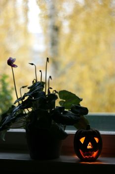 Halloweens pumpkin candle