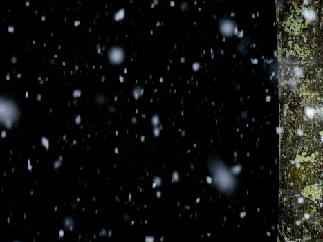 Flakes of snow falling with tree trunk on the background