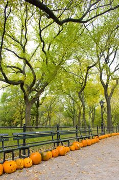 autumnal Central Park, New York City, USA