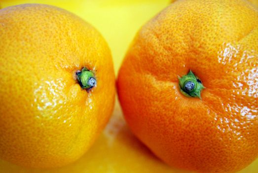 Delisious orange fruits (mandarins) looks like a romantic couple