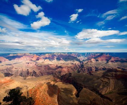 Light and shadow playing on texture of the Grand Canyon featuring Bright Angel Trail