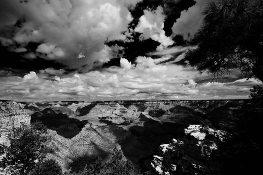 Light and shadow playing on texture of the Grand Canyon