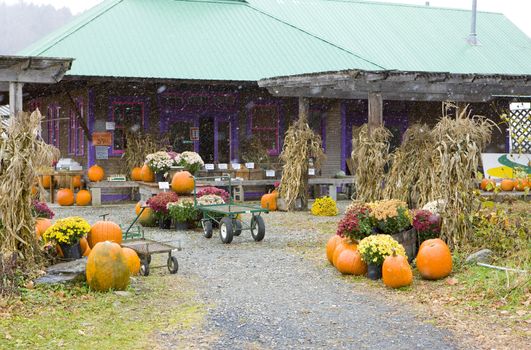 Halloween in Middlesex, Vermont, USA
