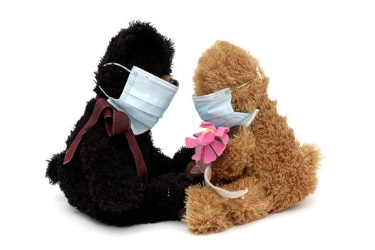 Teddy bear toys wearing surgical masks protect themselves of flu