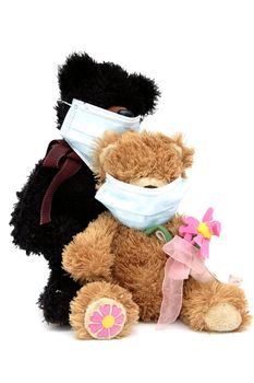 Teddy bear toys wearing surgical masks protect themselves of flu