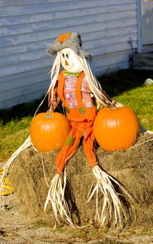 Halloween in Maine, USA