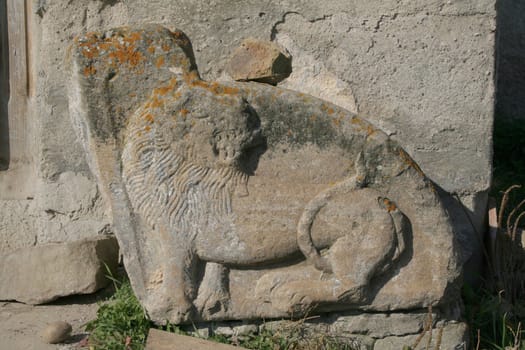 lion on the stone