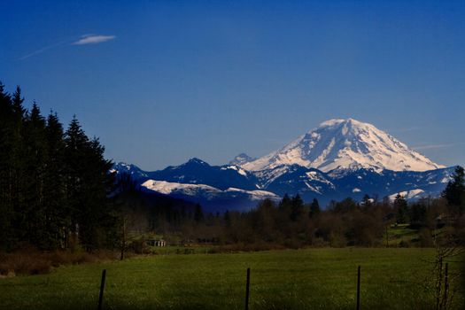 Mt. Rainier Meadow Background v2 is a beautiful capture of Mt. Rainier as a backdrop background to a beautiful meadow framed by a fence in the foreground and pine trees on the left side.
