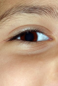 Macro of an eye and eyebrow