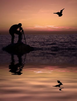 Photographer photographing sunset with seagull silhouette