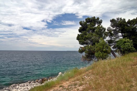 Beautiful torquise sea with stormy sky and trees