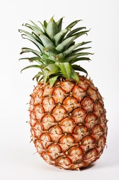 Pineapple fruit (Ananas comosus) on white background