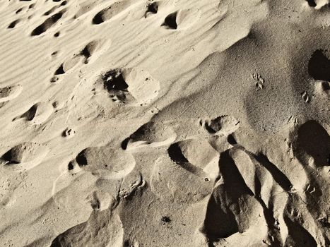 Close up detail of desert sands in scorching sun