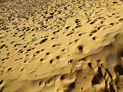 Close up detail of desert sands in scorching sun