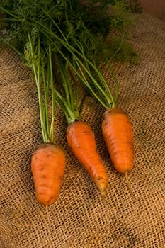 vegetable theme: three carrots on the sacking