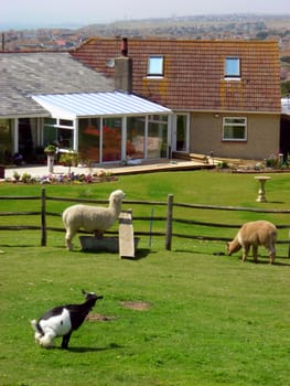           View of a little farm located at Rottingdean, East Sussex, England.