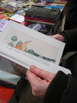           Girl hands glancing through a book in a street book shop.