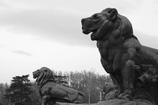 View two lions protecting the Spanish King Alfonso XII Monument at the Retiro Gardens in Madrid.