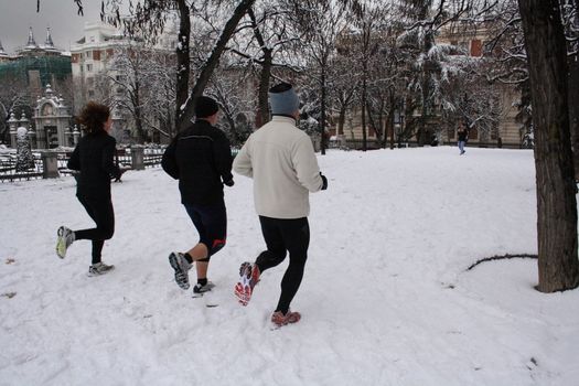 A group of three joggers practicing on the Retiro Park in Madrid.