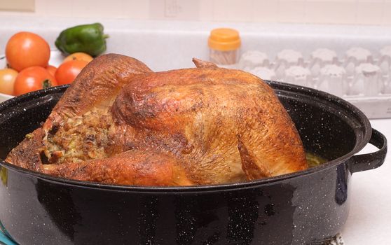 A large cooked turkey sitting in a roaster, on a kitchen counter