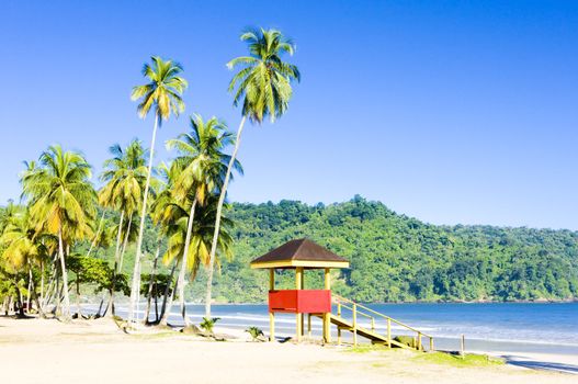 cabin on the beach, Maracas Bay, Trinidad