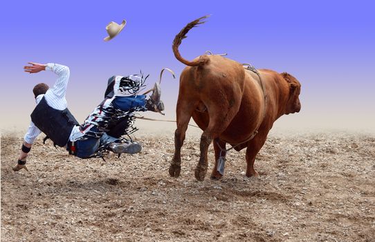 Cowboy Falling of a Bucking Bull isolated with path     
