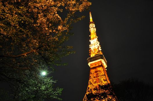 Night at Tokyo Tower