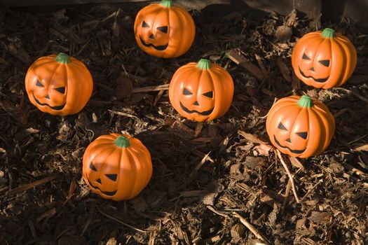 Halloween Pumpkin Shaped stress ball  outdoors on garden Bark chippings