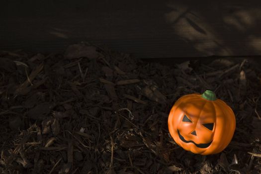 Halloween Pumpkin Shaped stress ball  outdoors on garden Bark chippings