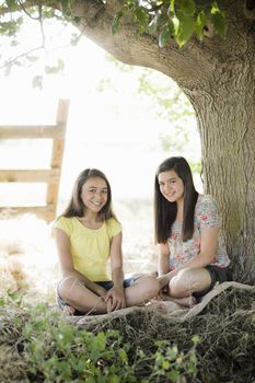 Two Young Girls Sitting on a Blanket Under a Tree
