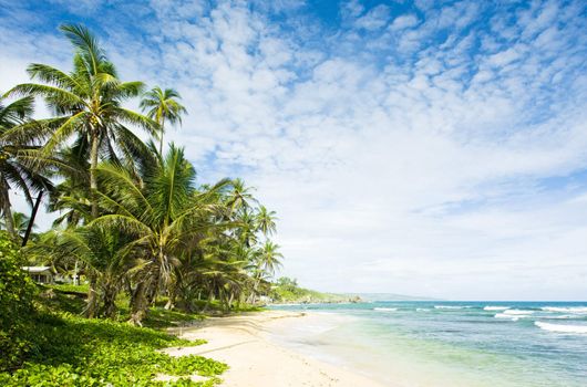 Martin''s Bay, Barbados, Caribbean