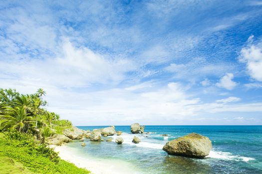 Bathsheba, East coast of Barbados, Caribbean